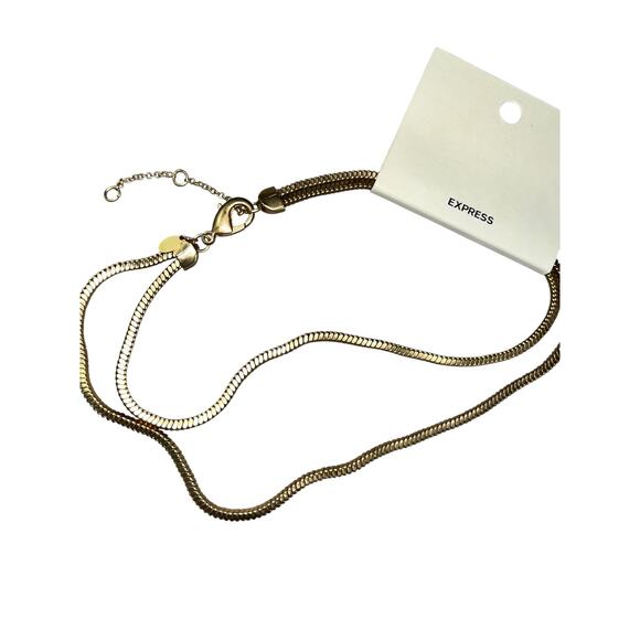 NWT Express Necklace – 17" with 2.5" Extender - Picture 3 of 4